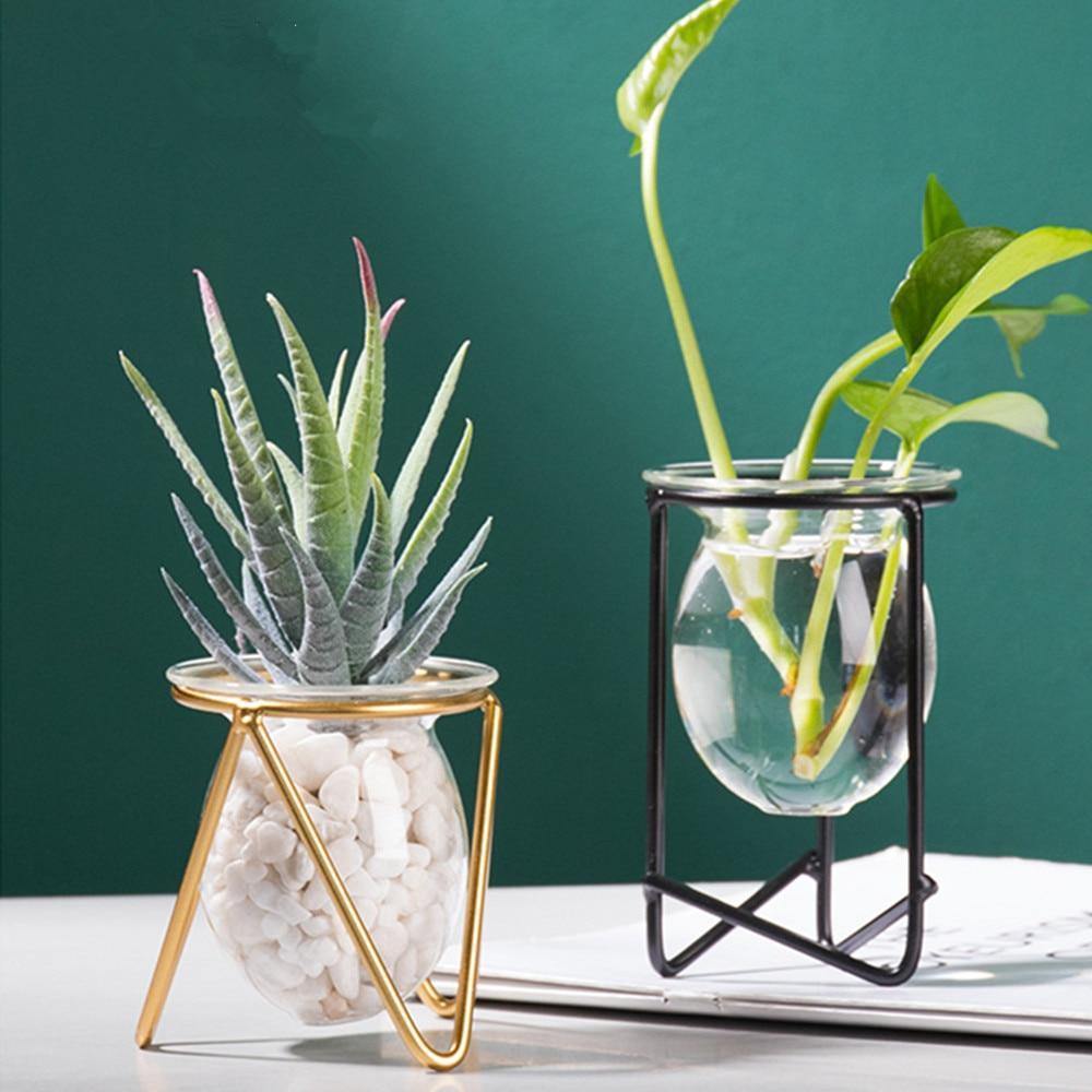 Modern Glass Plant Vase