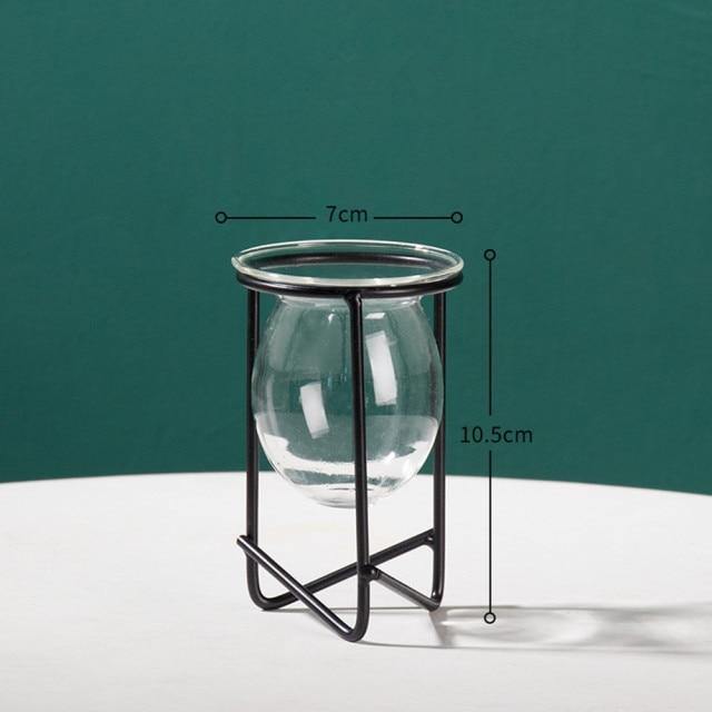 Modern Glass Plant Vase